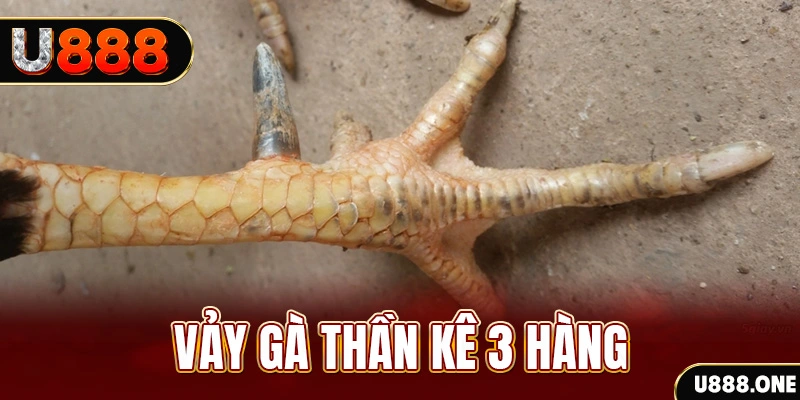 goo88 nổ hũ đổi thưởng . ai