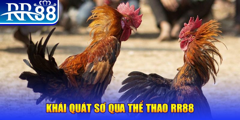 goo88 baccarat bịp như thế nào