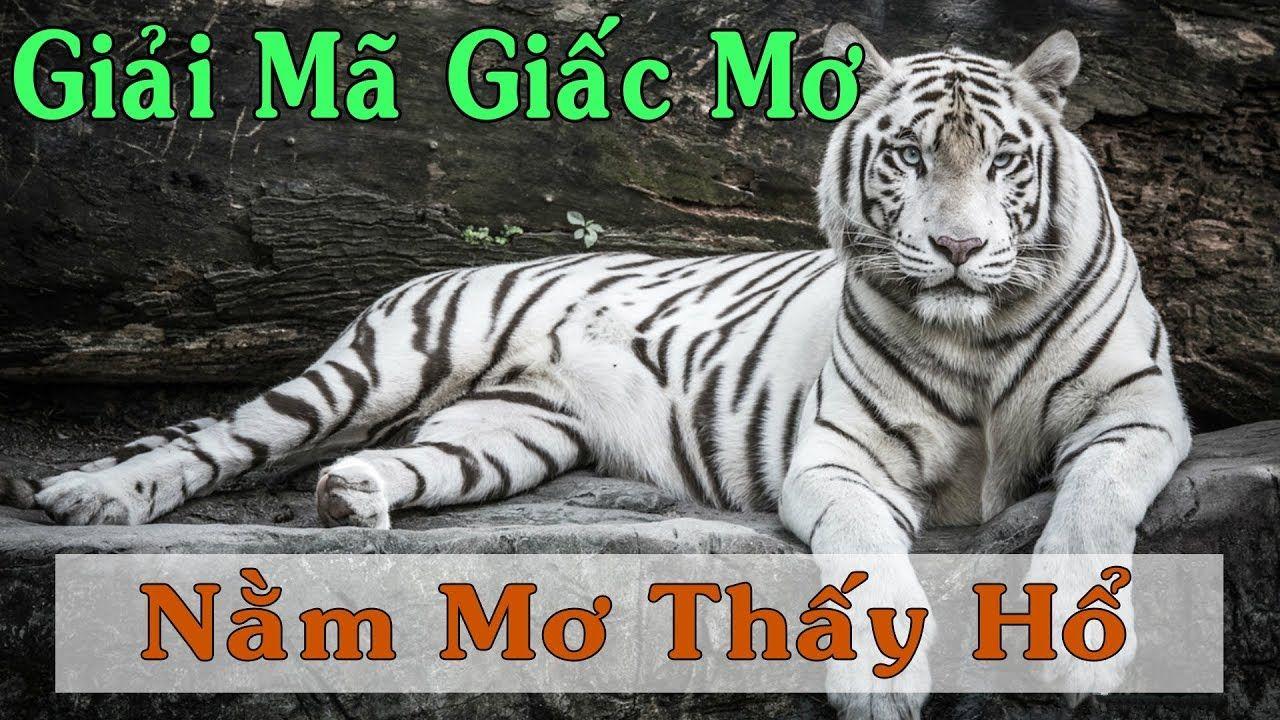 goo88 xổ số miền trung