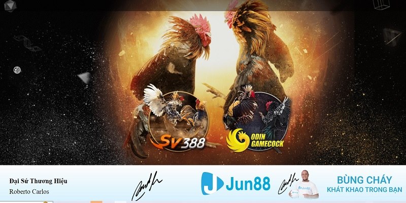 goo88 xổ số miền nam hàng tuần