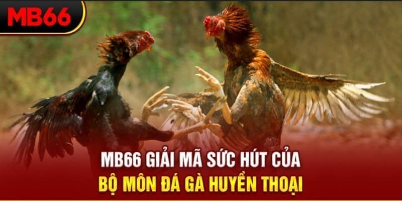 goo88 long bảo trong baccarat là gì