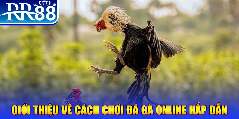 goo88 nổ hũ 2 mặt là gì