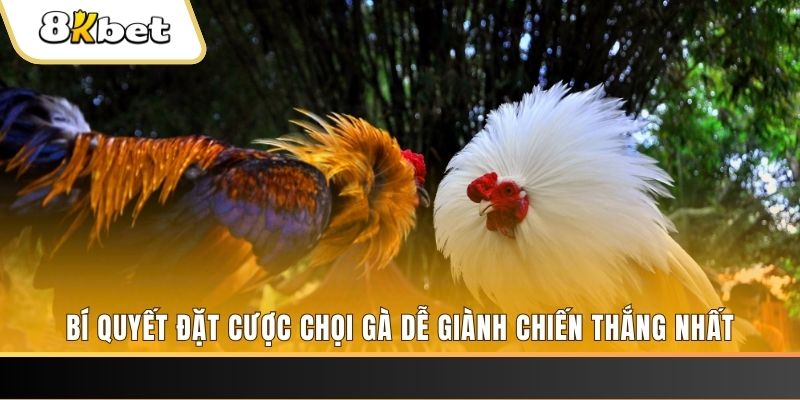 goo88 may club nổ hũ