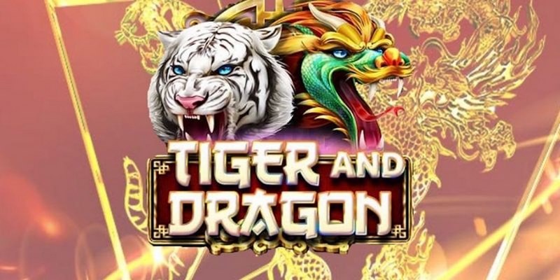 goo88 cá cược tiếng anh là gì